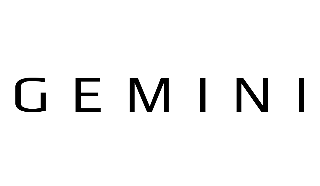 Gemini Composites: Carbon for MTB, Gravel and Road Bikes
– Gemini Composites S.L.